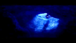 انیمیشن های دیزنی و پیکسار | Finding Nemo | بخش 1 | دوبله